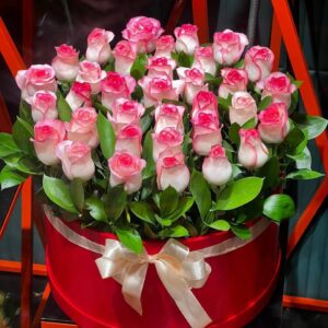 Нежный градиент