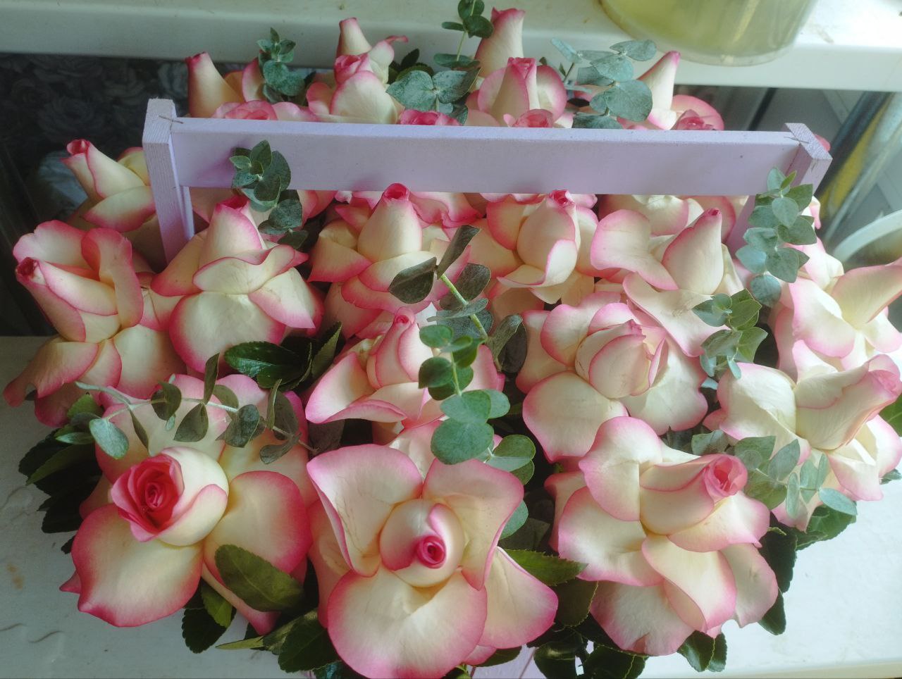 21 бело-розовая роза с эвкалиптом