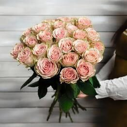 Ванильная роза