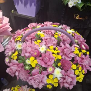 Солнечный привет