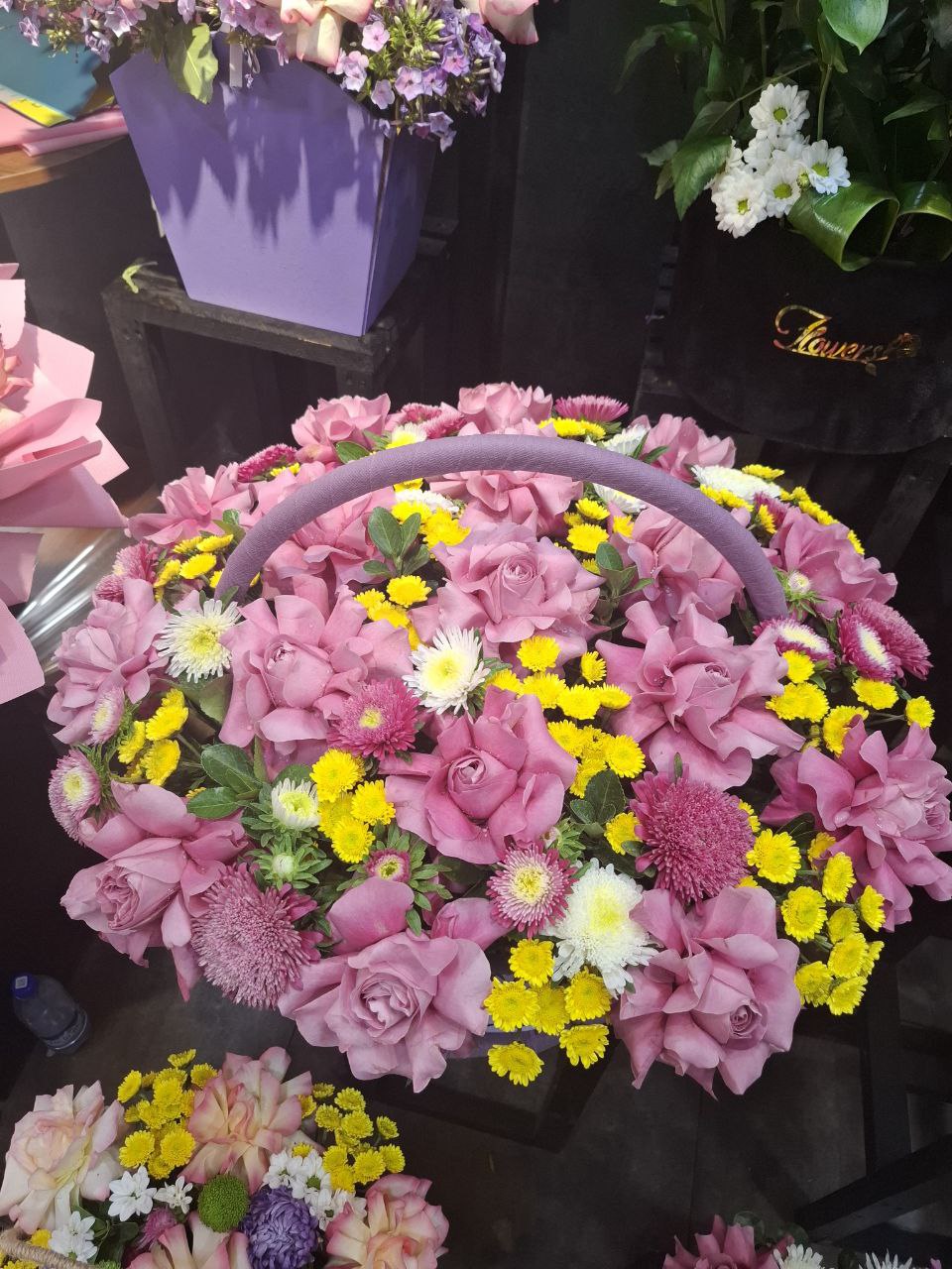 Солнечный привет