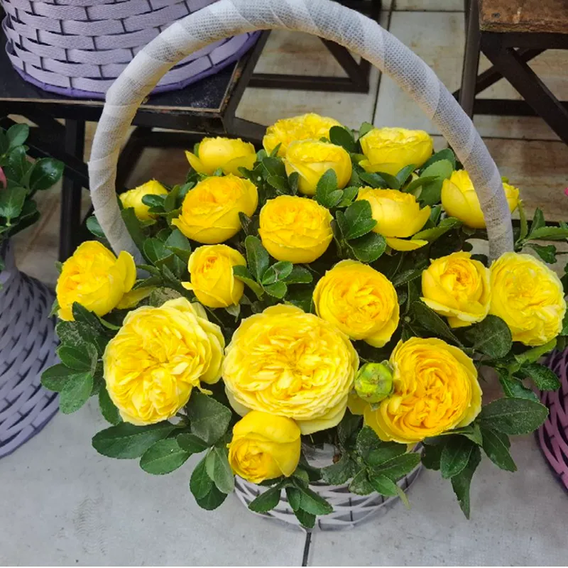 💛 Букет «Солнечная корзина»